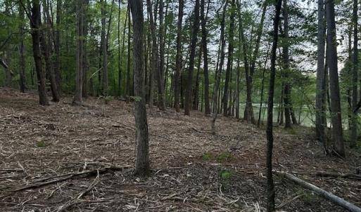 Photo #9 of 618 Crystal Cove, Yanceyville, NC 5.1 acres
