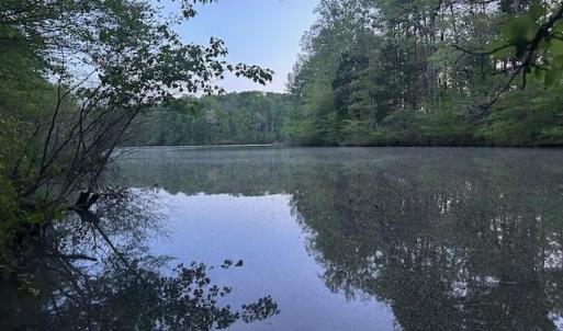Photo #11 of 618 Crystal Cove, Yanceyville, NC 5.1 acres