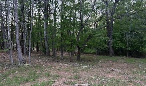 Photo #8 of 618 Crystal Cove, Yanceyville, NC 5.1 acres
