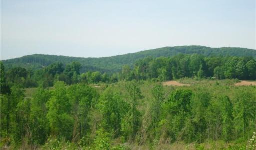 Photo #1 of Farmer Denton, Denton, NC 43.0 acres