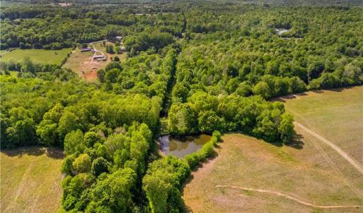Photo #7 of NC Highway 801, Woodleaf, NC 20.3 acres