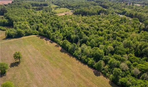 Photo #8 of NC Highway 801, Woodleaf, NC 20.3 acres