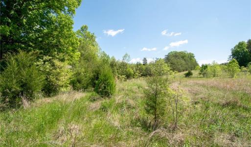 Photo #23 of 4100 High Rock, Gibsonville, NC 19.7 acres