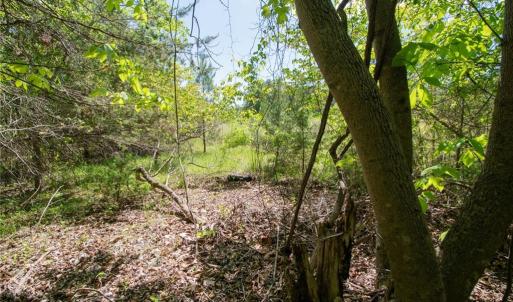 Photo #27 of 4100 High Rock, Gibsonville, NC 19.7 acres