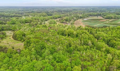 Photo #12 of 4100 High Rock, Gibsonville, NC 19.7 acres