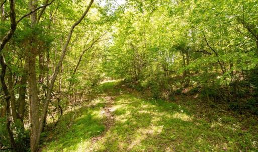 Photo #26 of 4100 High Rock, Gibsonville, NC 19.7 acres