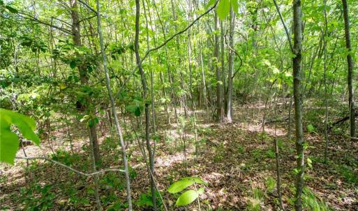 Photo #28 of 4100 High Rock, Gibsonville, NC 19.7 acres
