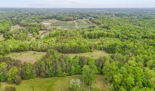 Photo #9 of 4100 High Rock, Gibsonville, NC 19.7 acres