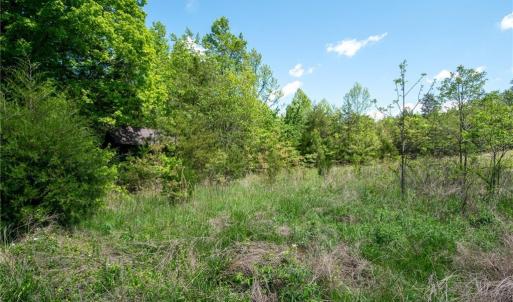 Photo #24 of 4100 High Rock, Gibsonville, NC 19.7 acres