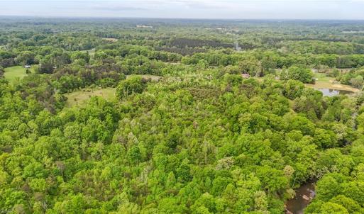 Photo #14 of 4100 High Rock, Gibsonville, NC 19.7 acres