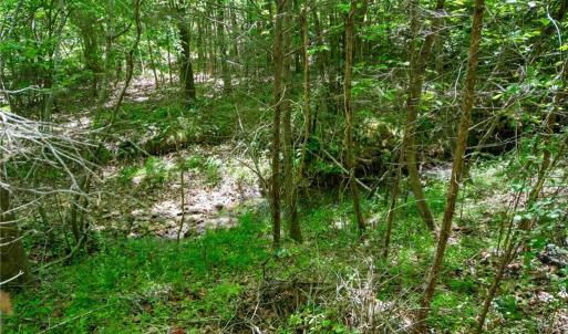 Photo #29 of 4100 High Rock, Gibsonville, NC 19.7 acres