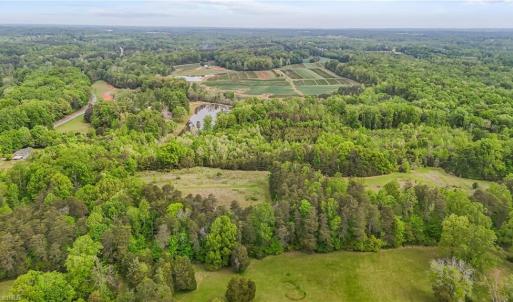 Photo #8 of 4100 High Rock, Gibsonville, NC 19.7 acres