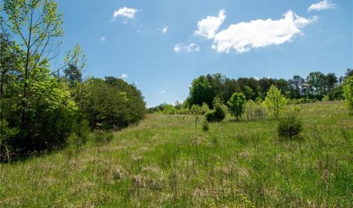 Photo #25 of 4100 High Rock, Gibsonville, NC 19.7 acres
