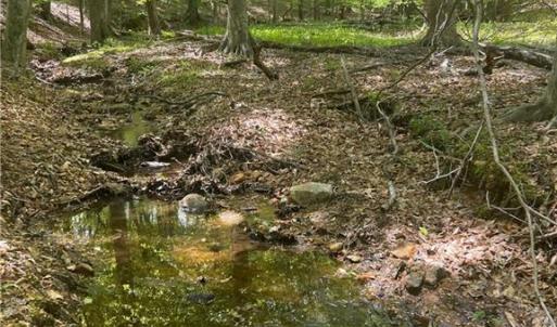 Photo #6 of Pebble Brook, Sandy Ridge, NC 4.1 acres