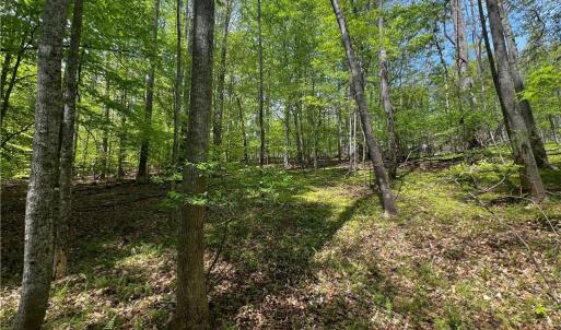 Photo #12 of Pebble Brook, Sandy Ridge, NC 4.1 acres