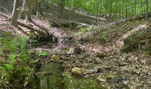 Photo #7 of Pebble Brook, Sandy Ridge, NC 4.1 acres