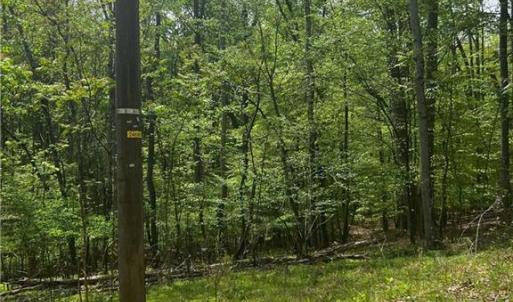 Photo #1 of Pebble Brook, Sandy Ridge, NC 4.1 acres