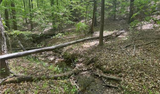 Photo #5 of Pebble Brook, Sandy Ridge, NC 4.1 acres