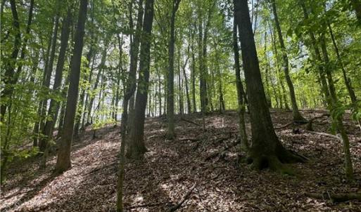 Photo #9 of Pebble Brook, Sandy Ridge, NC 4.1 acres