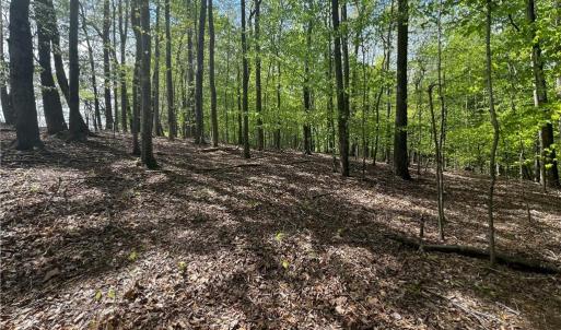 Photo #10 of Pebble Brook, Sandy Ridge, NC 4.1 acres