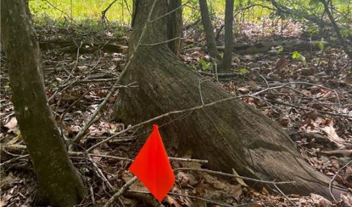 Photo #14 of Pebble Brook, Sandy Ridge, NC 4.1 acres