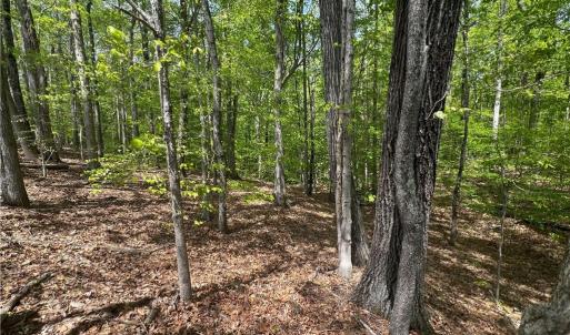 Photo #11 of Pebble Brook, Sandy Ridge, NC 4.1 acres