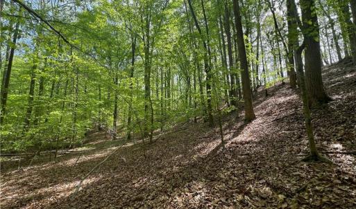 Photo #8 of Pebble Brook, Sandy Ridge, NC 4.1 acres