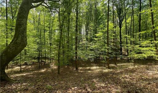 Photo #2 of Pebble Brook, Sandy Ridge, NC 4.1 acres