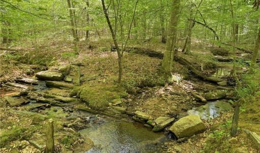 Photo #23 of Purcell, Reidsville, NC 65.1 acres