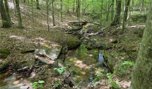 Photo #27 of Purcell, Reidsville, NC 65.1 acres