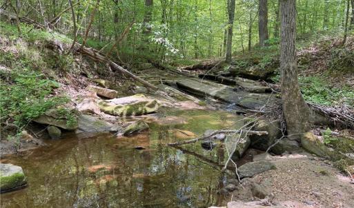 Photo #2 of Purcell, Reidsville, NC 65.1 acres