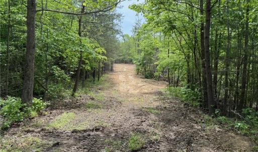Photo #6 of Purcell, Reidsville, NC 65.1 acres
