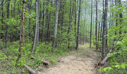 Photo #13 of Purcell, Reidsville, NC 65.1 acres