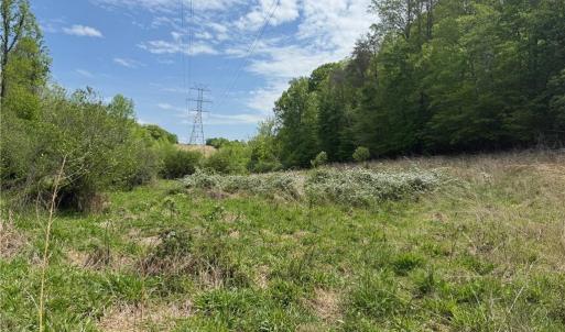 Photo #17 of Purcell, Reidsville, NC 65.1 acres