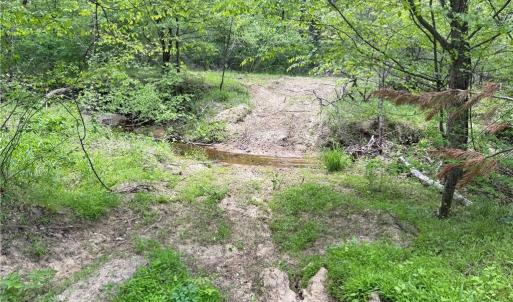 Photo #16 of Purcell, Reidsville, NC 65.1 acres