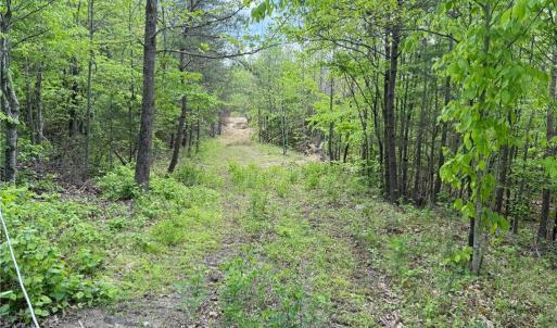 Photo #12 of Purcell, Reidsville, NC 65.1 acres