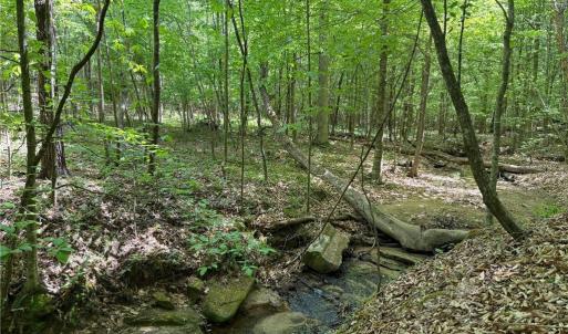 Photo #26 of Purcell, Reidsville, NC 65.1 acres