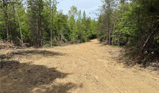 Photo #7 of Purcell, Reidsville, NC 65.1 acres