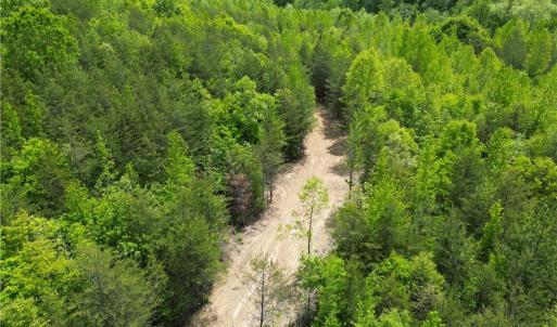 Photo #36 of Purcell, Reidsville, NC 65.1 acres