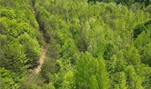Photo #32 of Purcell, Reidsville, NC 65.1 acres