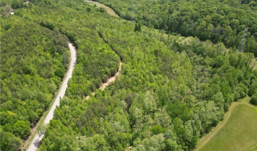 Photo #1 of Purcell, Reidsville, NC 65.1 acres