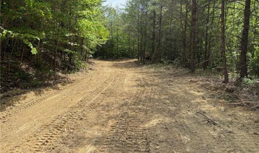 Photo #5 of Purcell, Reidsville, NC 65.1 acres