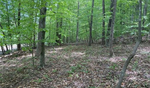Photo #20 of Purcell, Reidsville, NC 65.1 acres