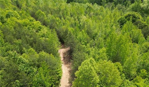 Photo #9 of Purcell, Reidsville, NC 65.1 acres