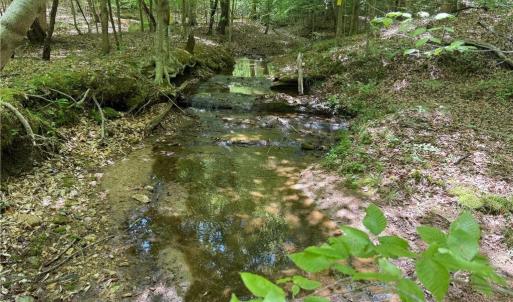 Photo #24 of Purcell, Reidsville, NC 65.1 acres