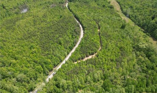 Photo #34 of Purcell, Reidsville, NC 65.1 acres