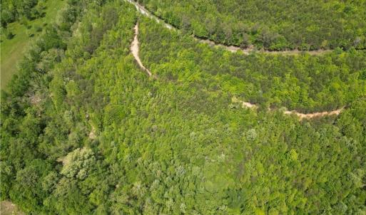 Photo #38 of Purcell, Reidsville, NC 65.1 acres
