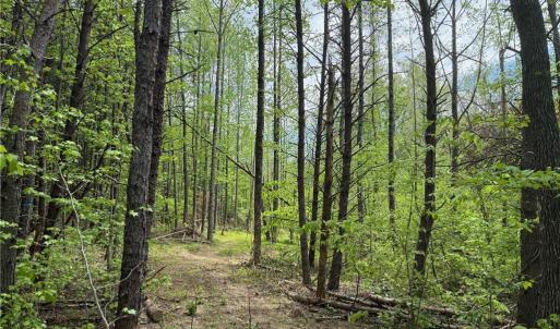 Photo #14 of Purcell, Reidsville, NC 65.1 acres