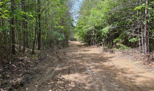 Photo #41 of Purcell, Reidsville, NC 65.1 acres