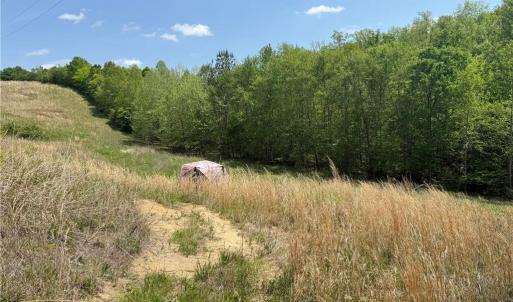 Photo #18 of Purcell, Reidsville, NC 65.1 acres
